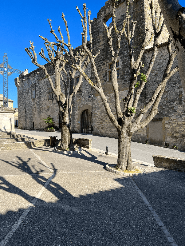 Le Château de Blauzac