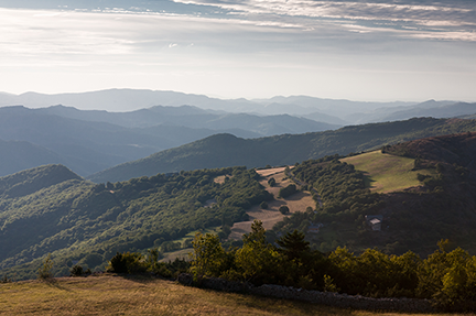 Cevennes